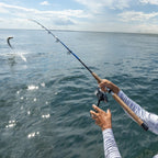 Tsunami Shield II Spinning Reels