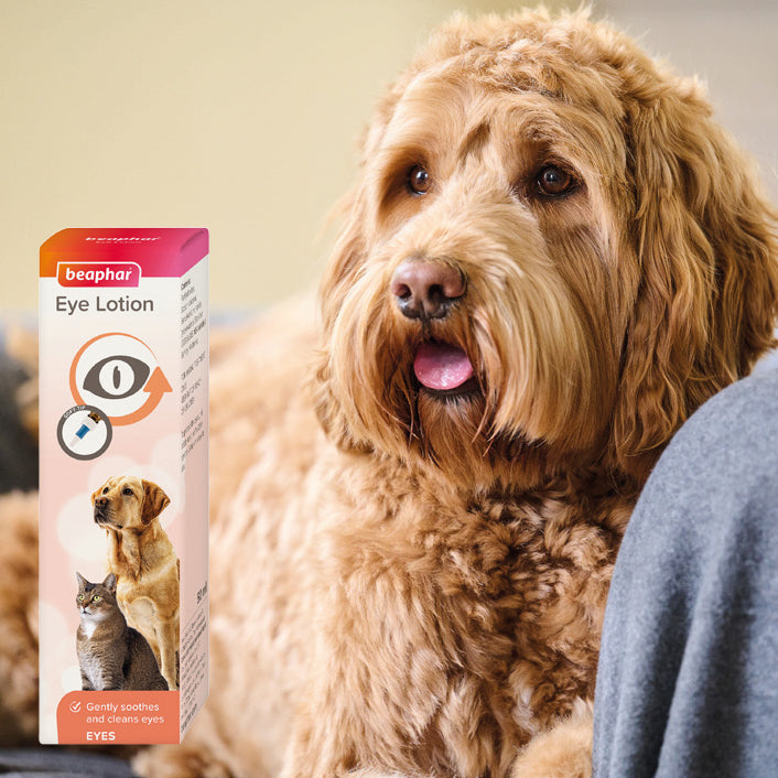 Beaphar Dog & Cat Eye Lotion with MSM, 50ml