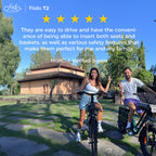 Fiido T2 Electric Cargo Bike: 200 kg Payload, 136.26 km Long Range