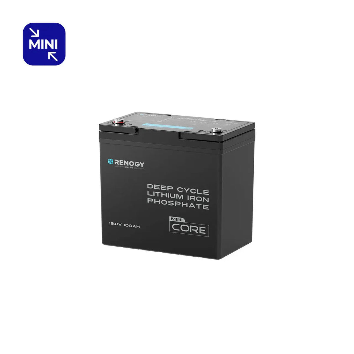 Mini Size 12.8V 100Ah Lithium Iron Phosphate Battery