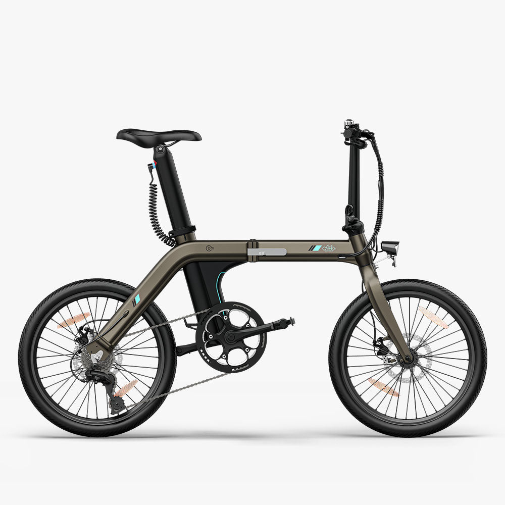 Fiido D21 Folding Electric Bike With Torque Sensor