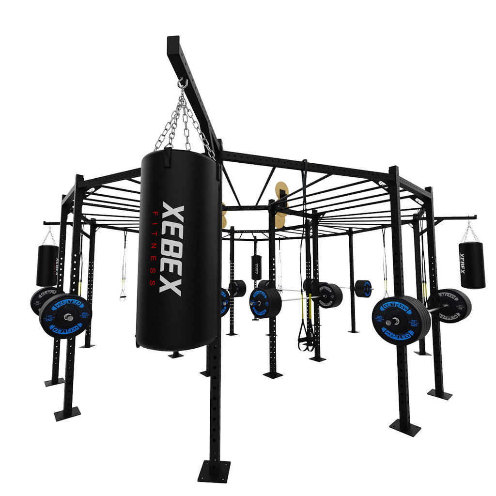 Circular Monkey Bar Rig - Basic
