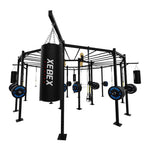 Circular Monkey Bar Rig - Basic