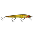 Smithwick Perfect 10 Rogue fishing lure in gold with three treble hooks and a clear diving lip, designed for effective freshwater fishing and targeting musky.