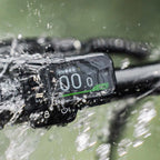 Fiido X Folding Electric Bike With Torque Sensor