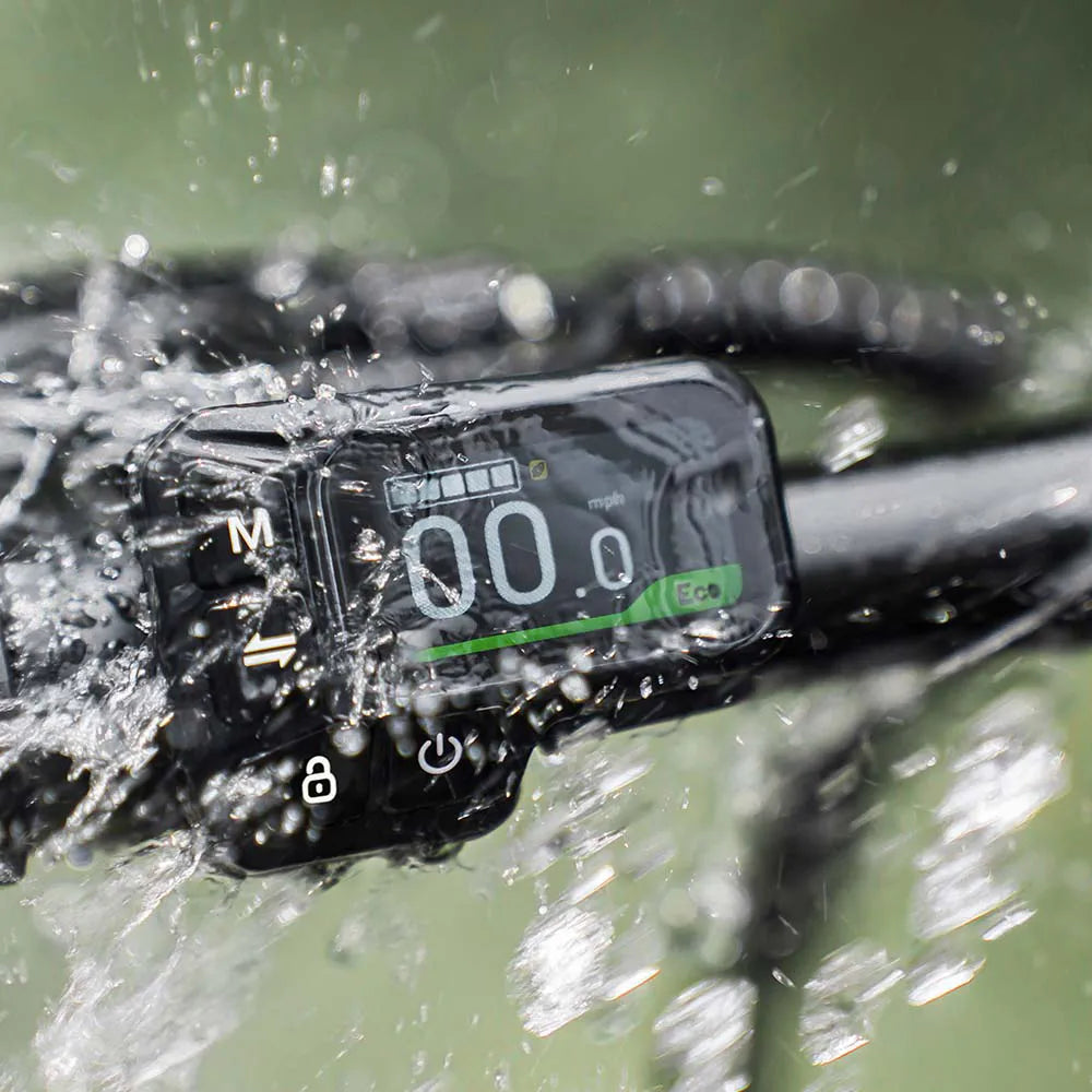 Fiido X Folding Electric Bike With Torque Sensor