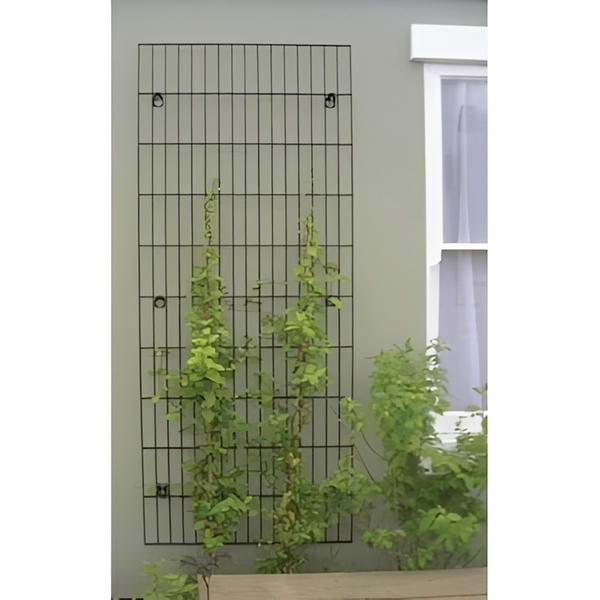 Galvanised/Powder Coated Metal Trellis