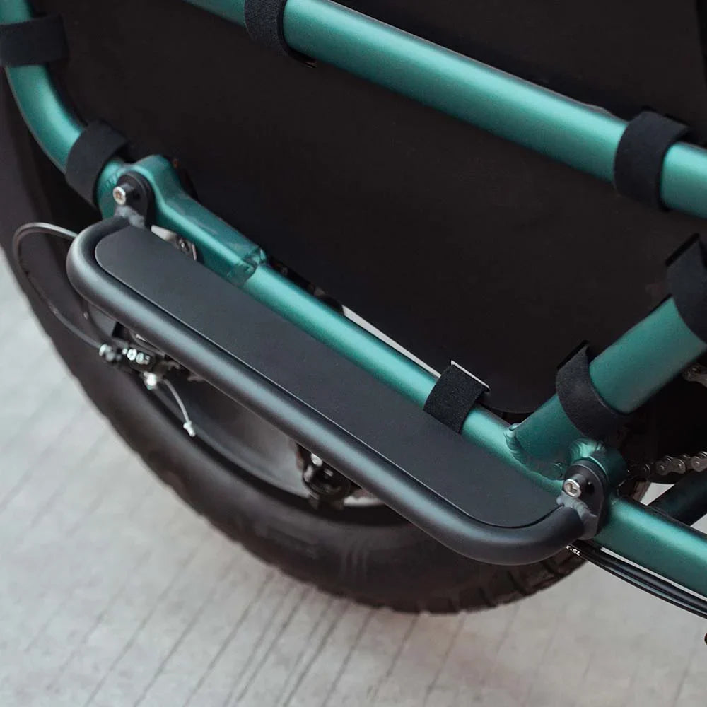 Fiido T2 Electric Cargo Bike: 200 kg Payload, 136.26 km Long Range