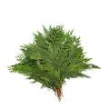 Holiday Bough Bundles