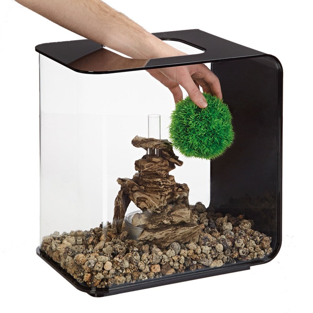 Aquatic Topiary