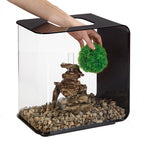 Aquatic Topiary