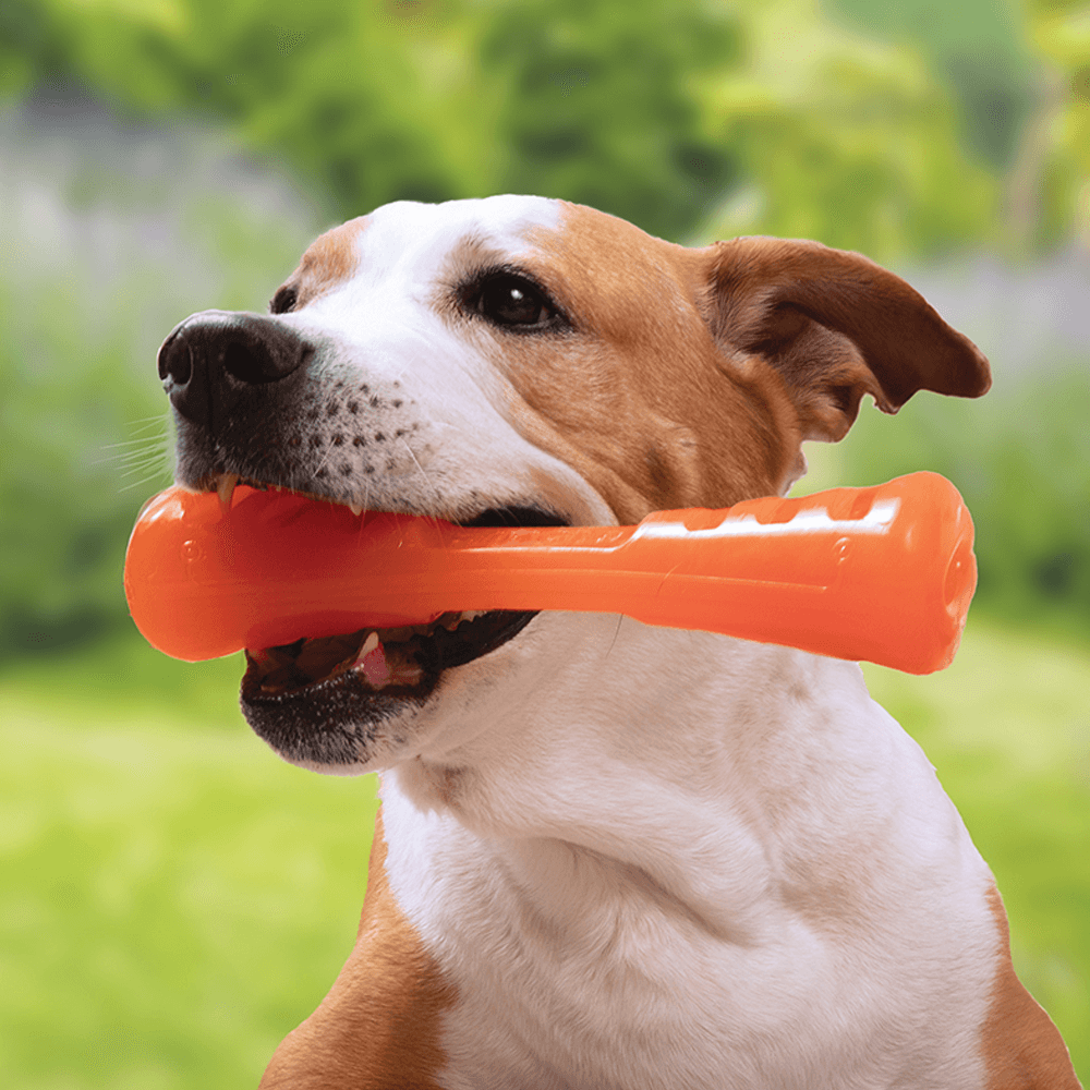 Urban Stick - Medium (23cm)