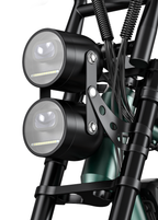 Engwe M20 Electric Bike Green