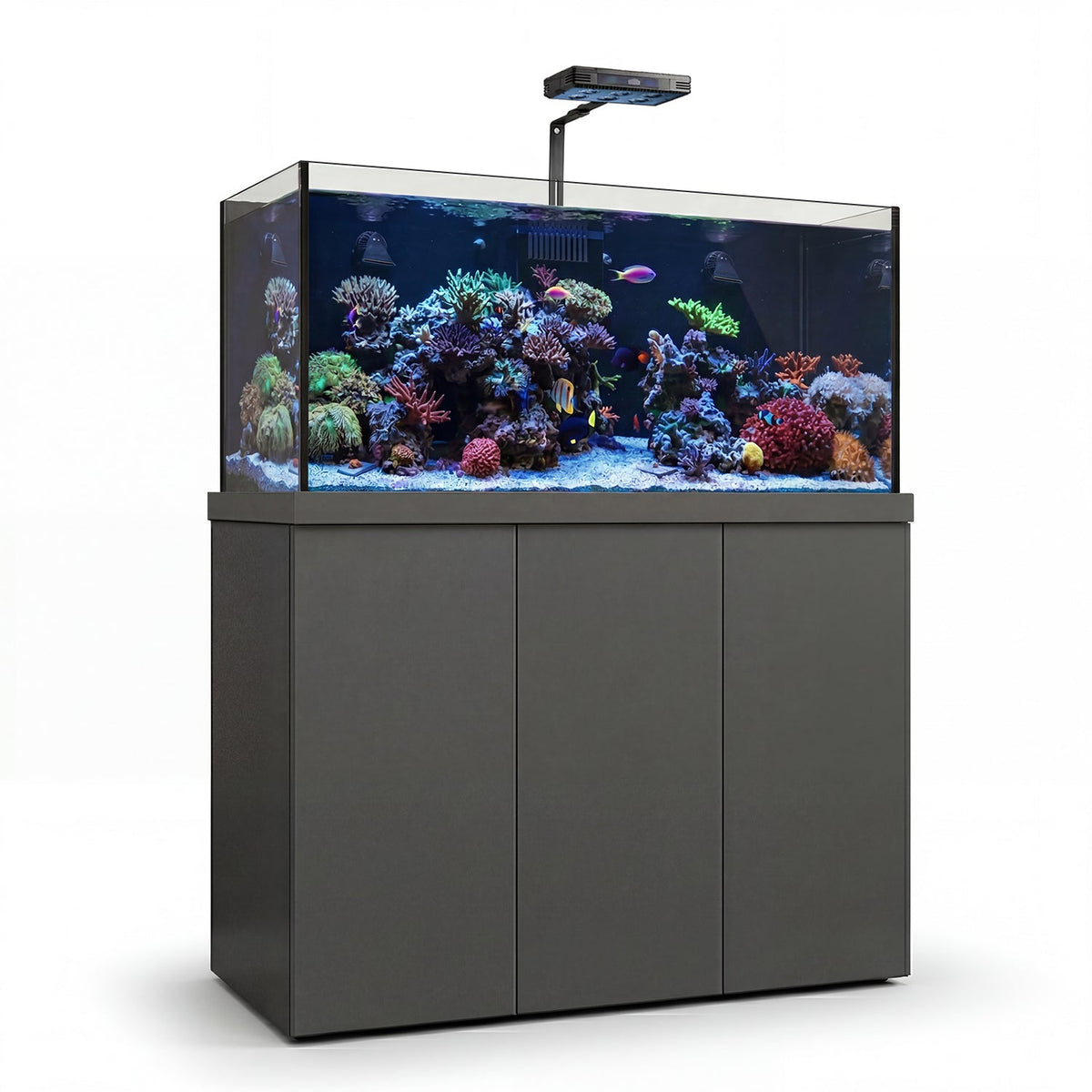 145 Gallon Coral Reef Fish Tank Complete Reef Aquarium Set including Two Coral lights & one Protein Skimmer