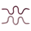 Two flexible fishing lures shaped like worms in shades of brown and pink designed for use as OSP MMZ Worm fishing tackle.