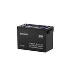 48V 50Ah Smart Lithium Iron Phosphate Battery w/Self-heating | Core Series