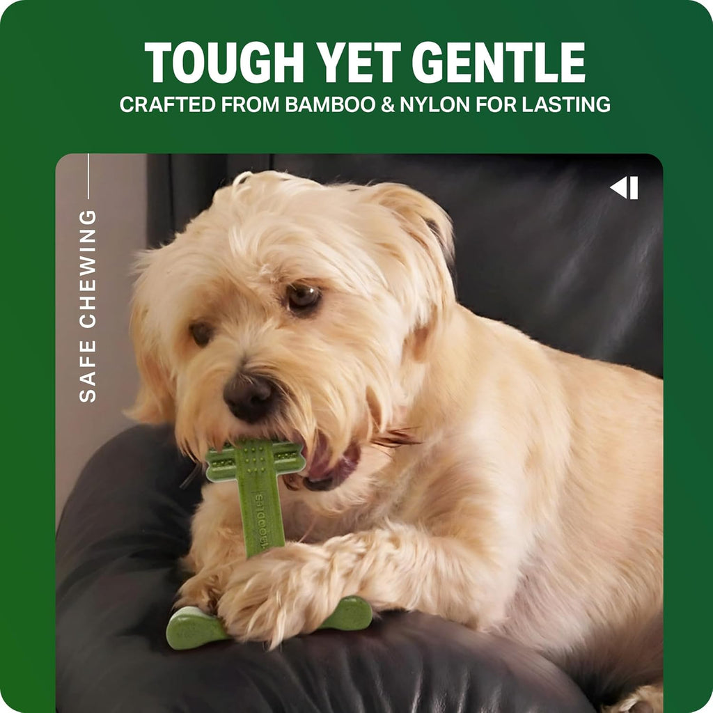 Bamboodles Chew Toys Infusion Medium Cheese