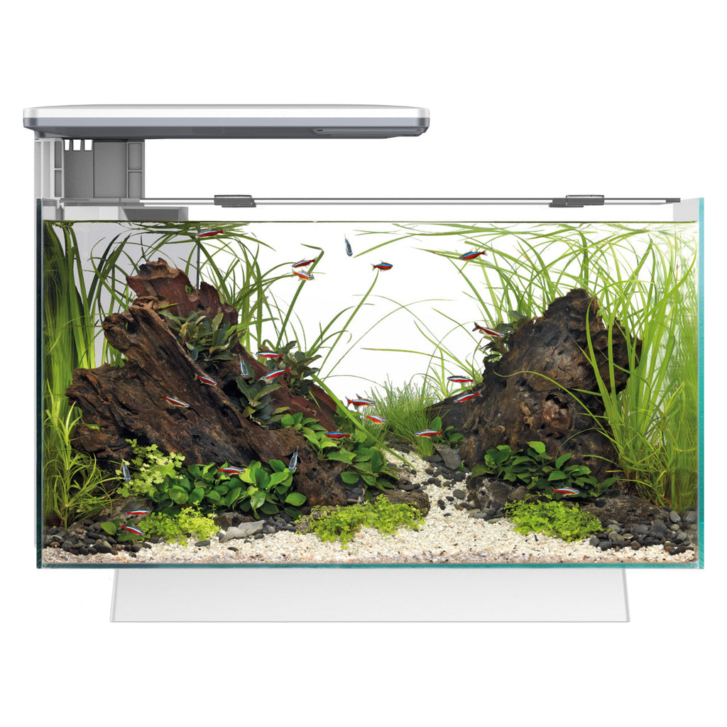 Superfish Quadro 40 Multi-Colour LED Aquarium