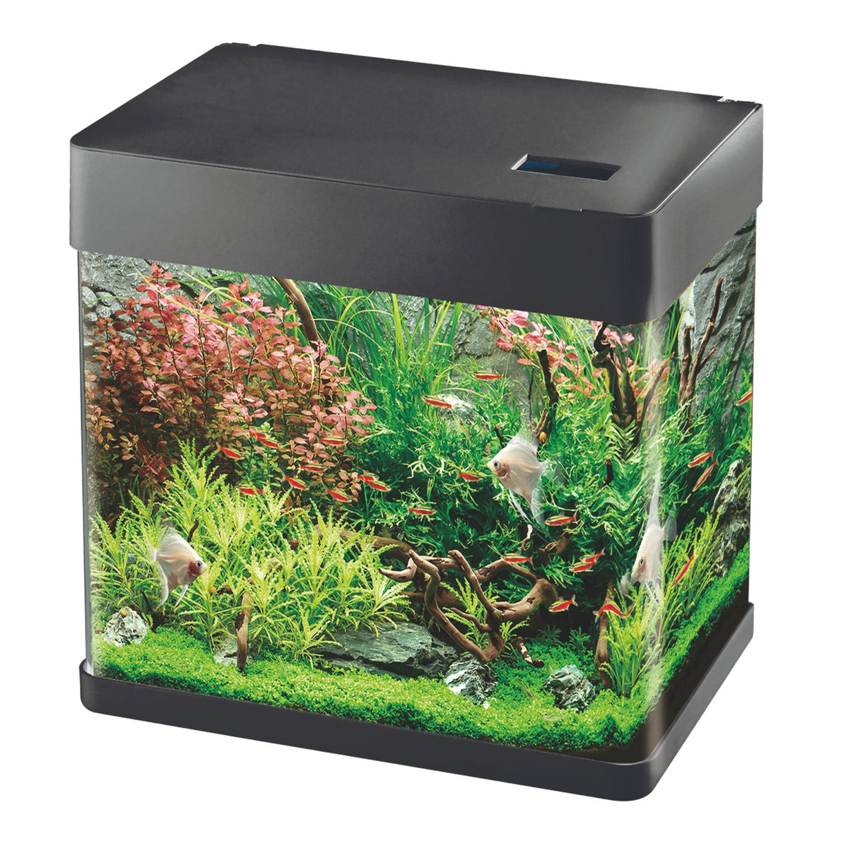 Betta Choice 49L Aquarium with LED & 3-Stage Filter