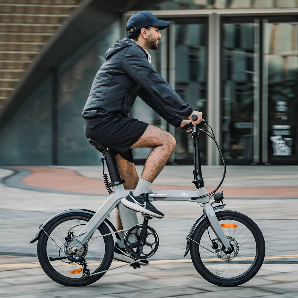 Fiido D11 Folding E-bike