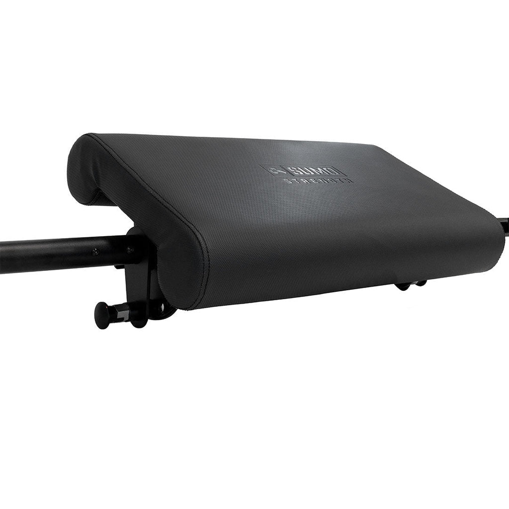 Hip Thruster / Preacher Curl Bench