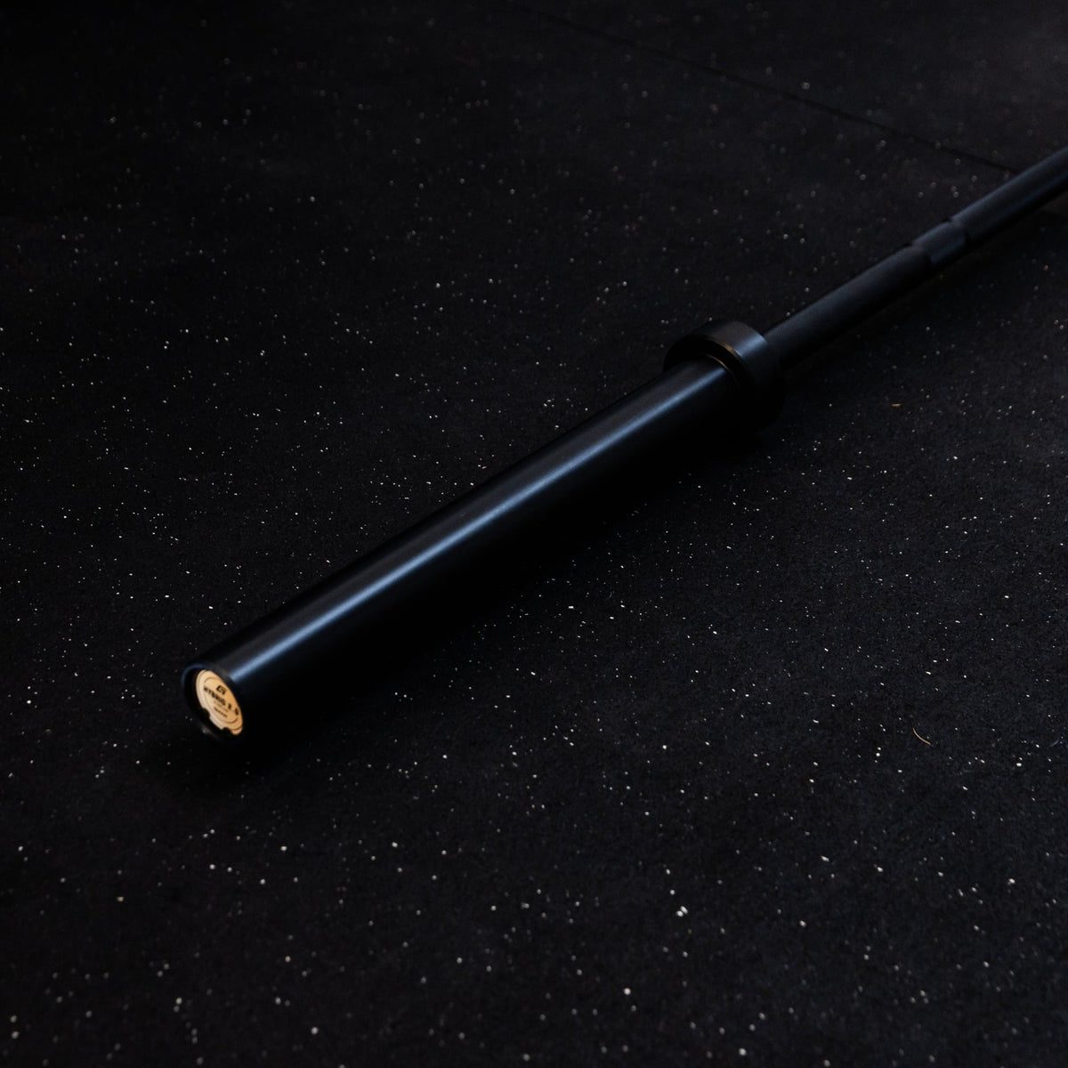 20kg Hybrid Bar 2.0 - CP