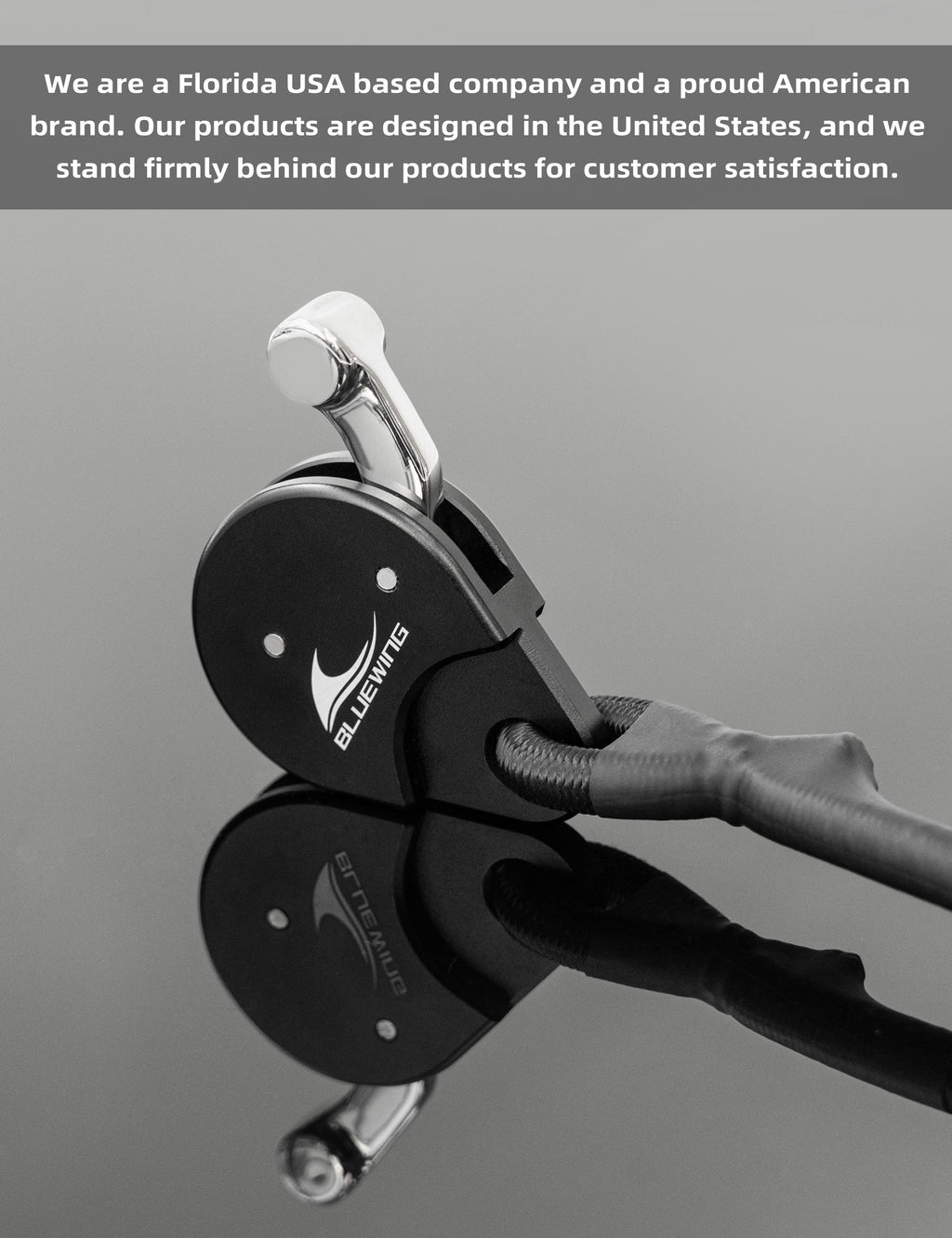 Bluewing Outrigger Line Lock Pro