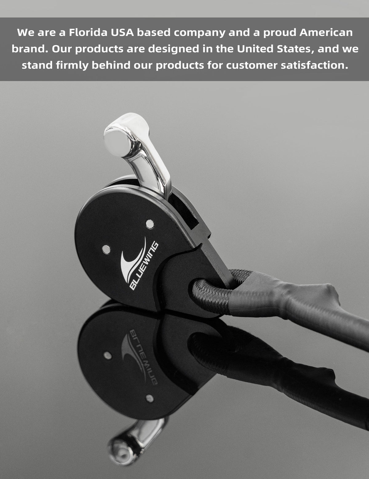 Bluewing Outrigger Line Lock Pro