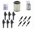 Filters Ignition Coils Platinum Plugs For Chevrolet Trailblazer 4.2L 2002-2005