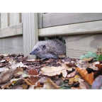Hedgehog Gravel Board for Use with Slotted Posts