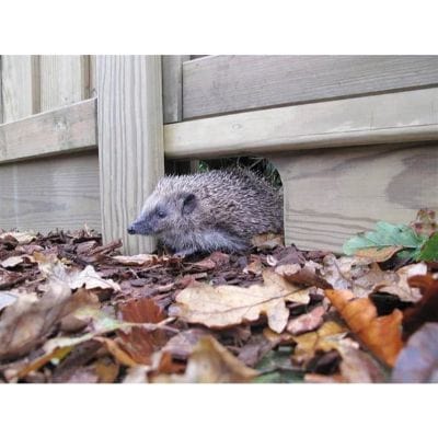 Hedgehog Gravel Board for Use with Slotted Posts