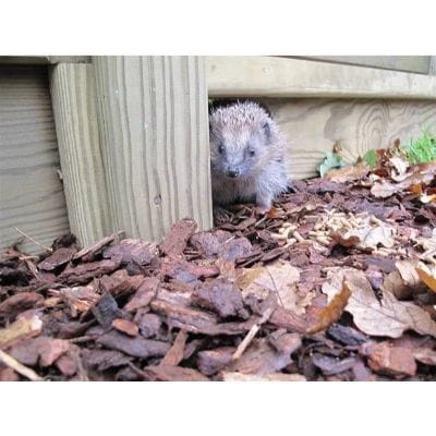 Hedgehog Gravel Board for Use with Slotted Posts