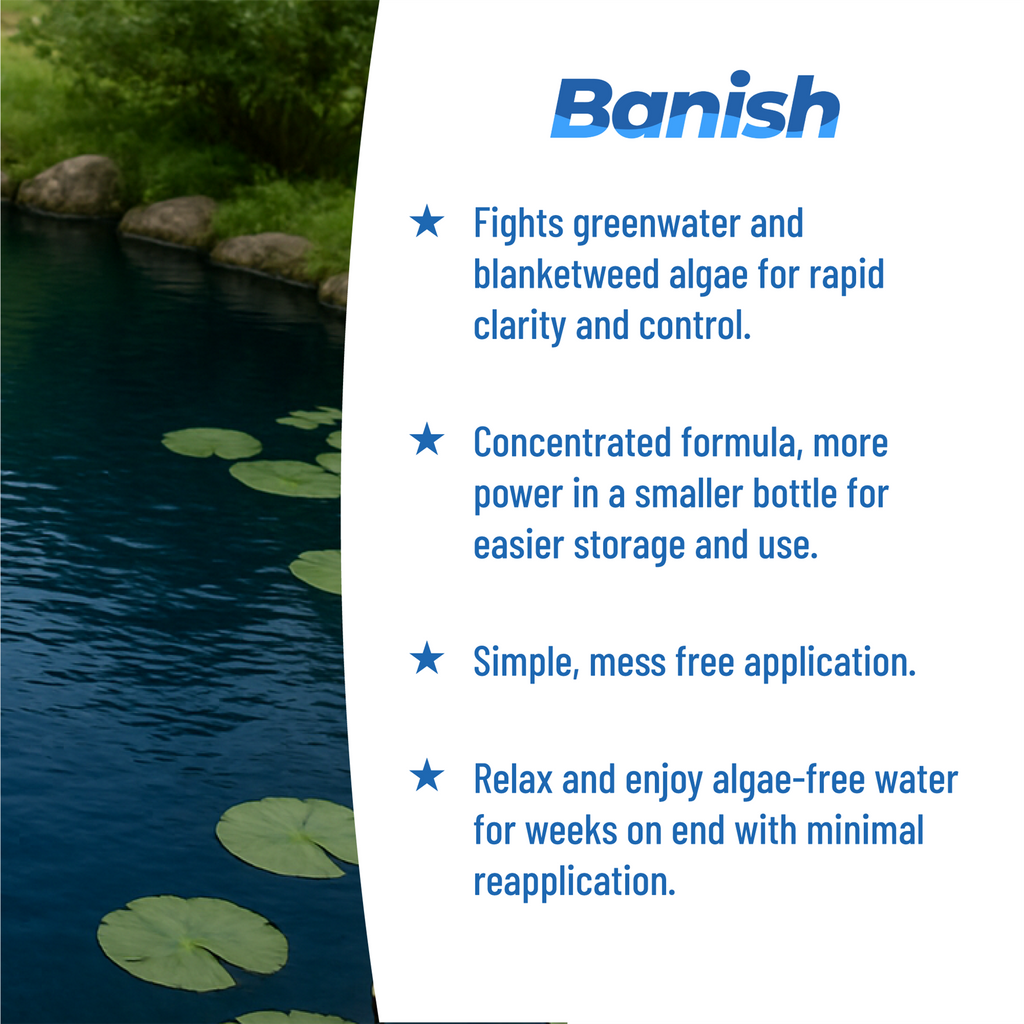 Banish Barley Straw Essence Pond Water Treatment