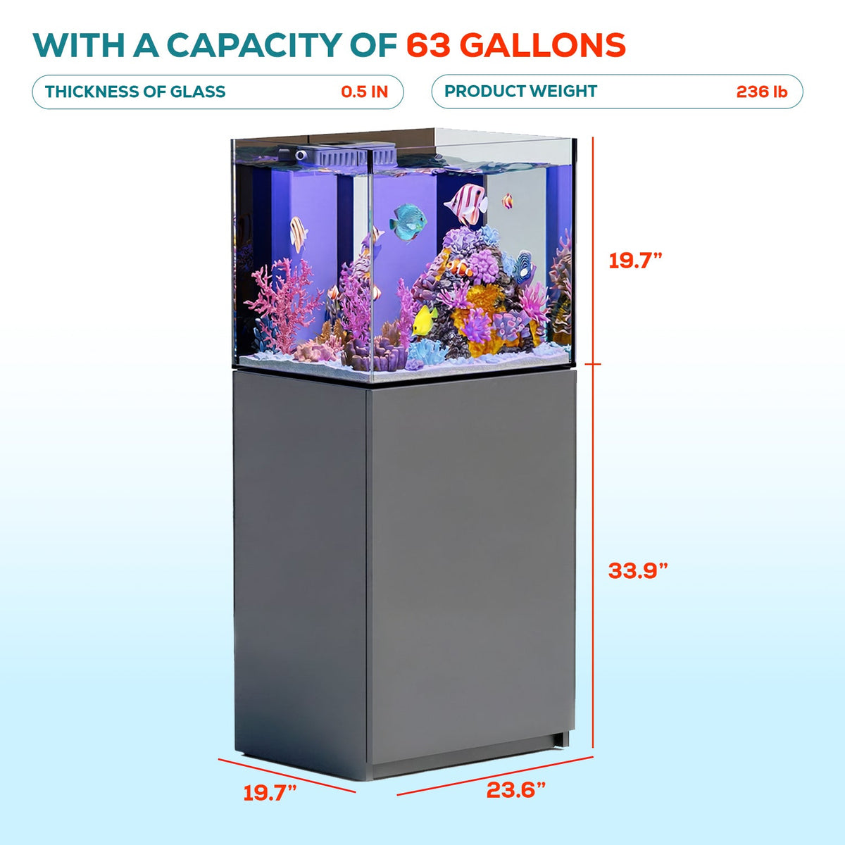 63 Gallon Coral Reef Aquarium Ultra Clear Glass Tank & Built in Sump Silver