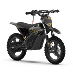 WARRIOR KIDS SX-E500 Electric Bike