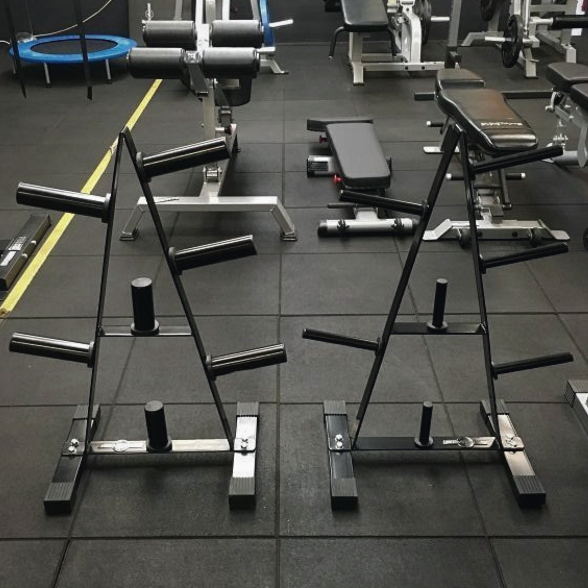 Muscle Motion Standard Weight Plate Rack