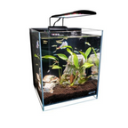 8.3 Gallons 45° Beveled Edge Low Iron Ultra Clear Aquarium