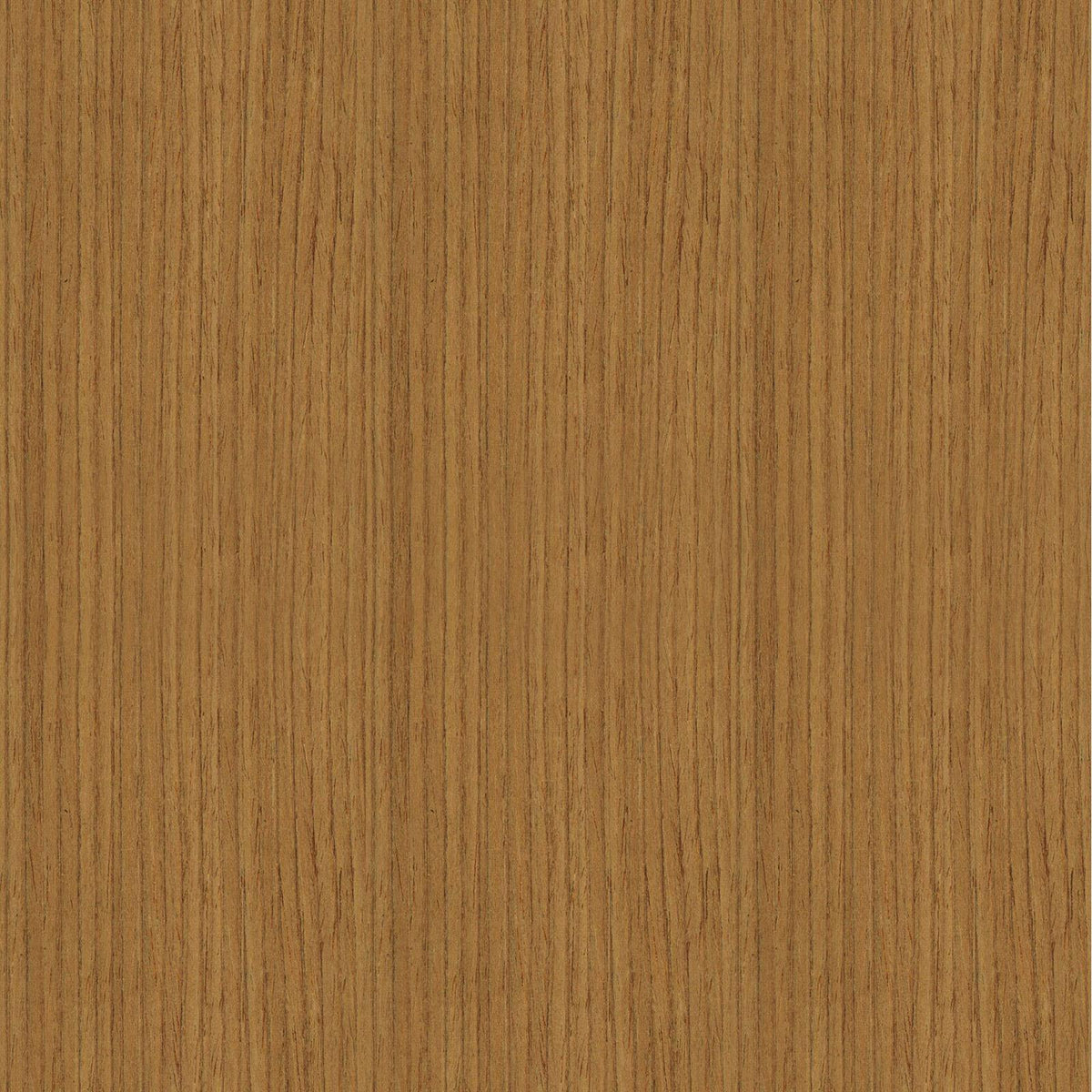 Zest Acoustic Wall Panel