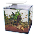 Superfish Qubiq Pro 60 LED Aquariums