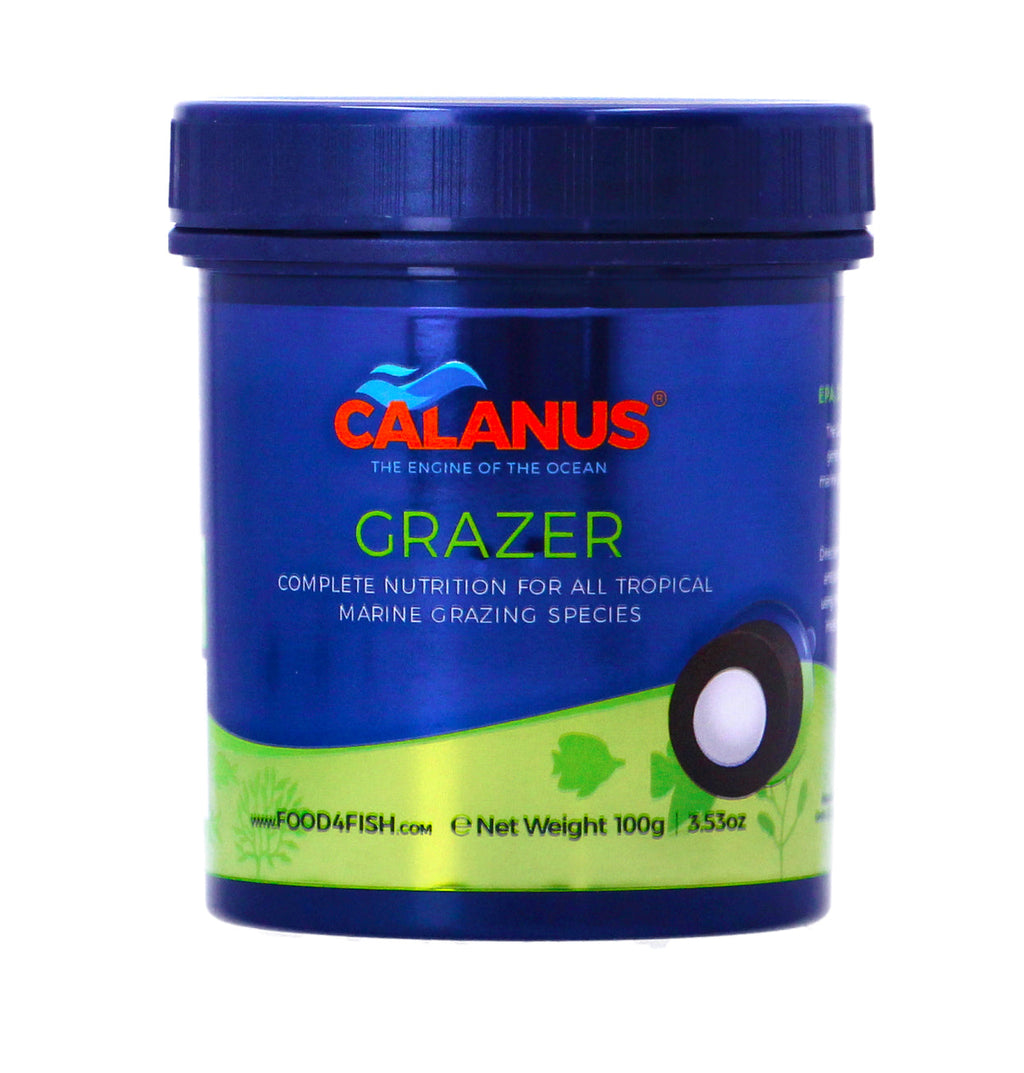 Calanus Grazer Fish Feeding Station 100g