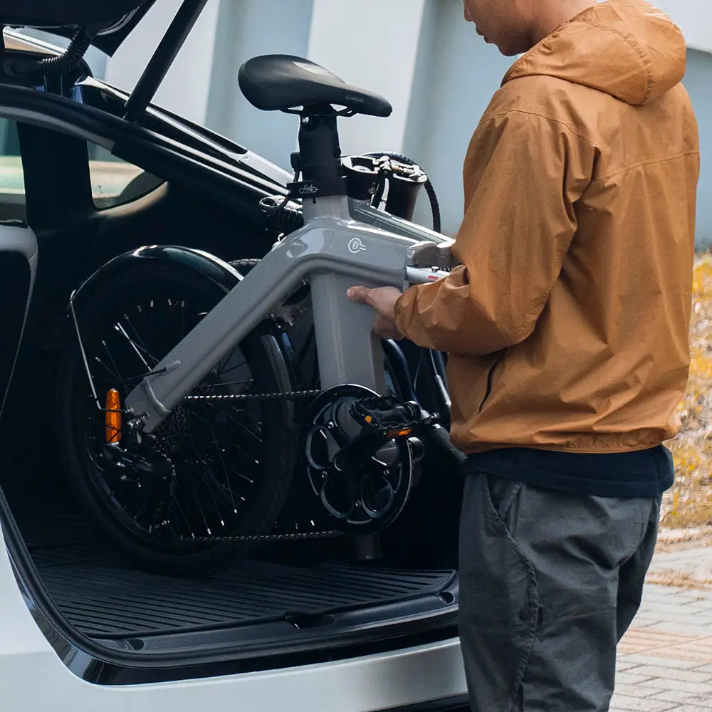 Fiido D11 Folding E-bike