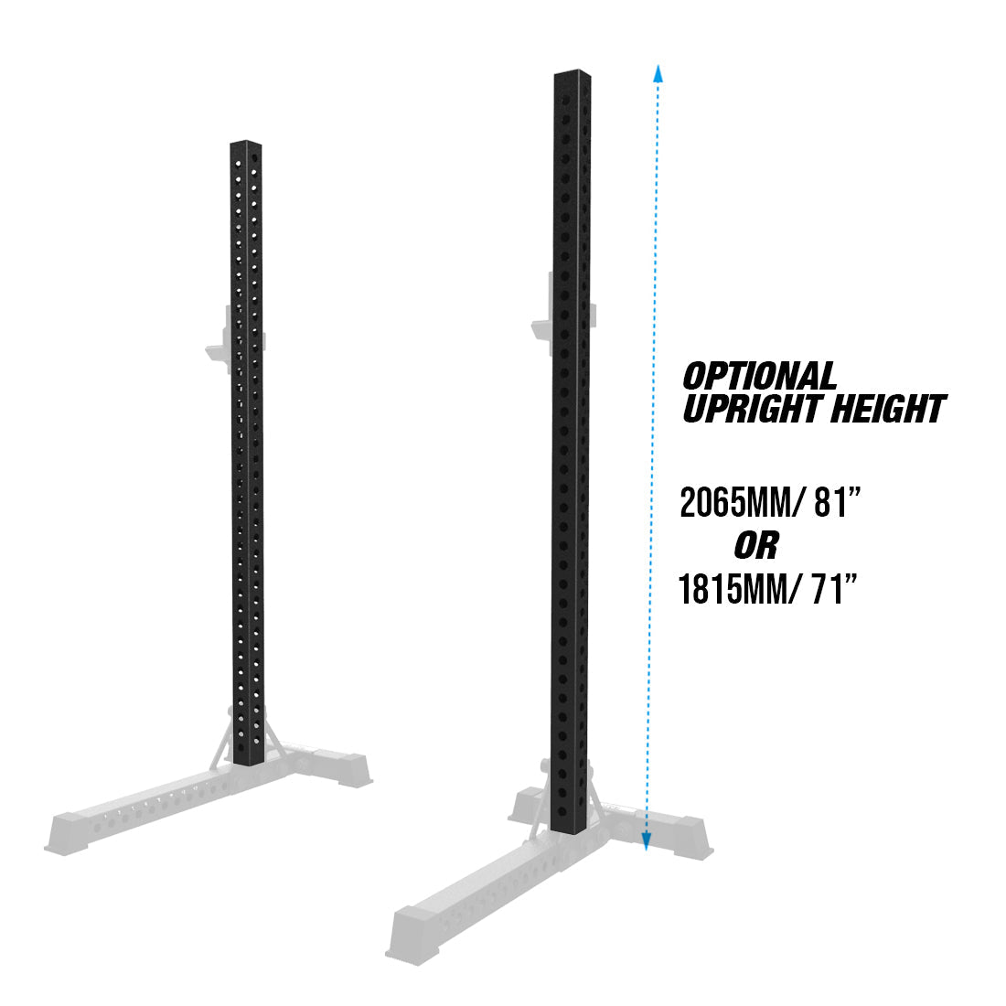 RX3 Division Squat Rack