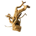Aqua One Redmoor Root Nano