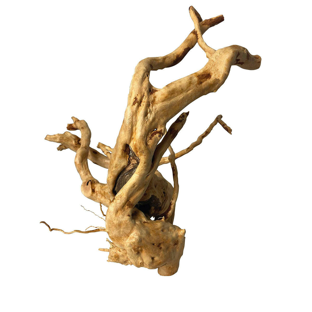 Aqua One Redmoor Root Nano