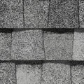 Landmark Shingles - Birchwood