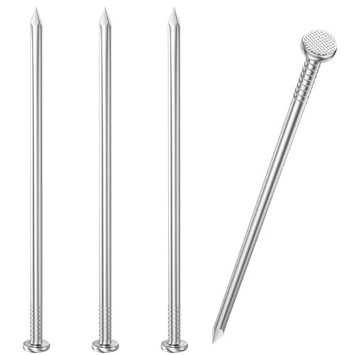 VGBUY 20PCS Stainless Steel Hardware Nails, 5 Inch Flat Head Nails for Hanging Pictures, Picture Hanging Nails, Long Nails, Wall Nails, Wood Nails, Finishing Nails - color: Silver, size: 5 Inch