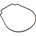 Gasket, Pentair Purex IntelliFlo VS, Seal Plate, Special ID/OD- 357100Z