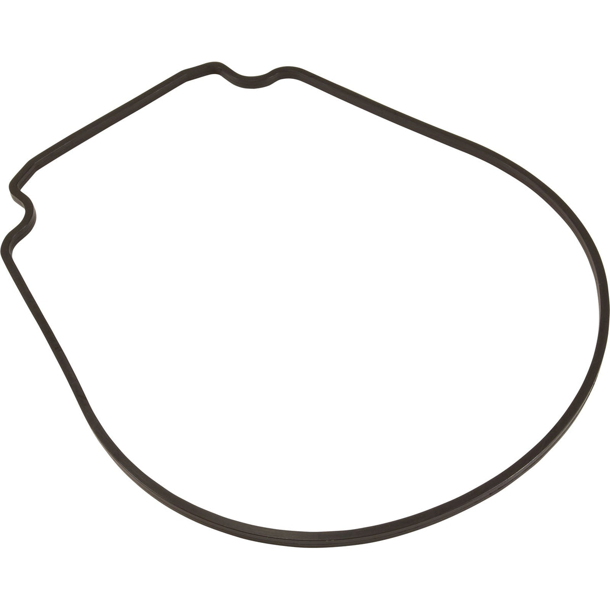 Gasket, Pentair Purex IntelliFlo VS, Seal Plate, Special ID/OD- 357100Z