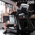 Harison Discover T3600/T3600TRACK Commercial Treadmill