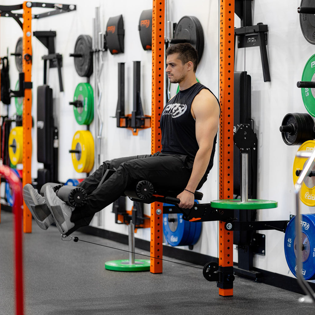PRx Leg Curl/Extension